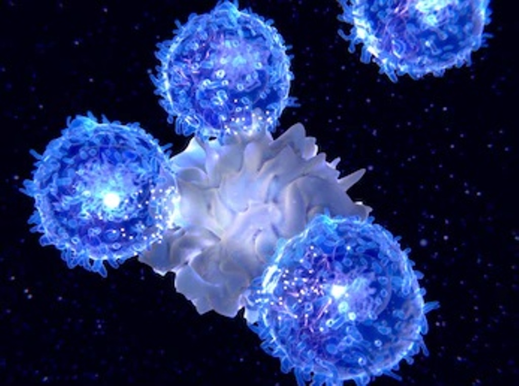 Lymphocytes T combattant un agent pathogène
